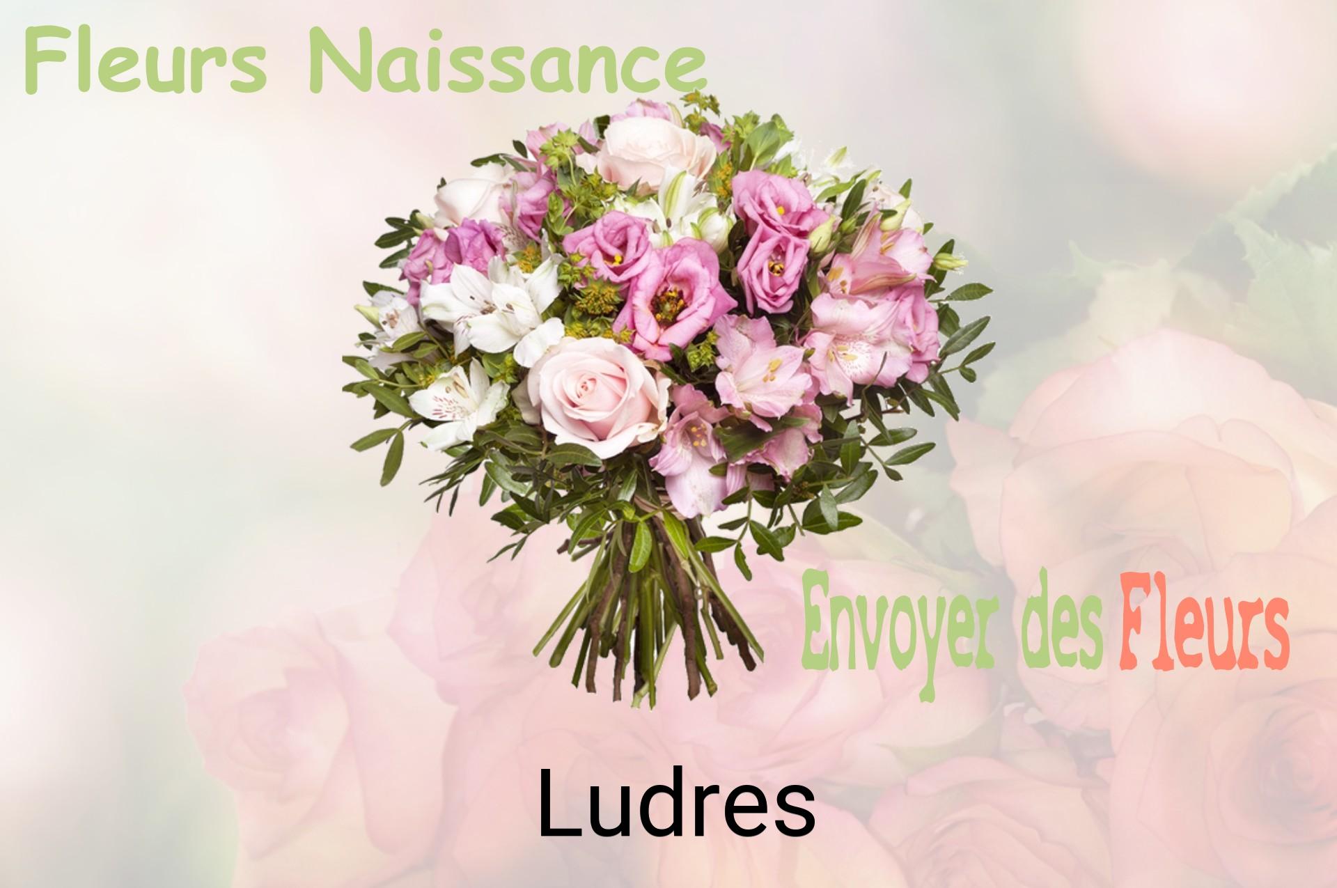 Bouquet de fleurs de naissance livré à Ludres